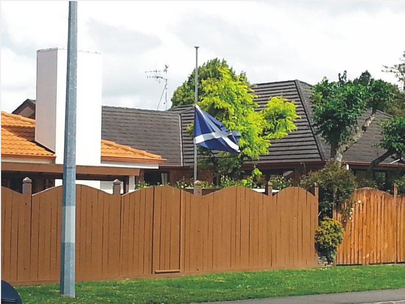 Mels Flag Image